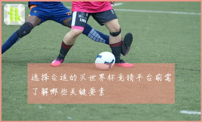 选择合适的买世界杯竞猜平台前需了解哪些关键要素