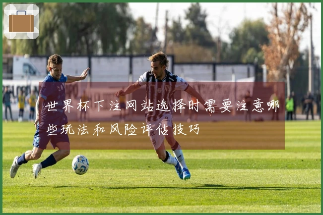 世界杯下注网站选择时需要注意哪些玩法和风险评估技巧