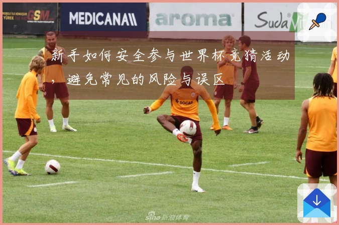 新手如何安全参与世界杯竞猜活动，避免常见的风险与误区