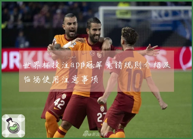 世界杯投注app冠军竞猜规则介绍及临场使用注意事项
