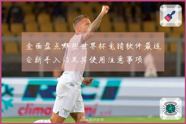 全面盘点哪些世界杯竞猜软件最适合新手入门及其使用注意事项