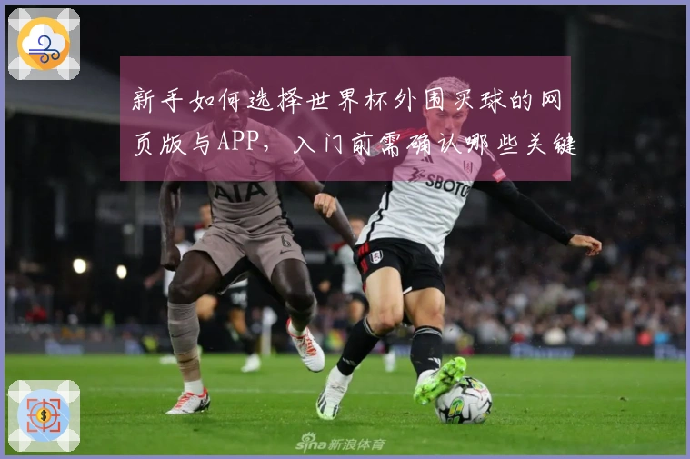 新手如何选择世界杯外围买球的网页版与APP，入门前需确认哪些关键要点