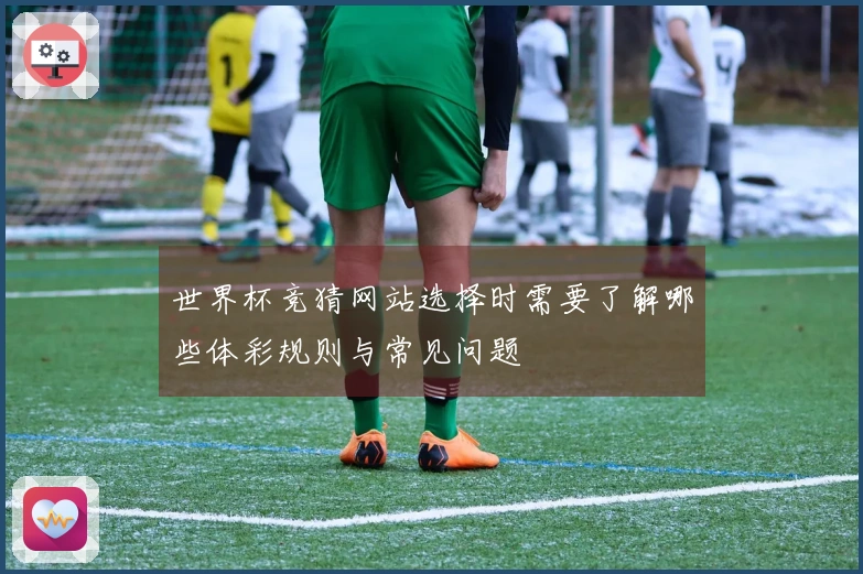 世界杯竞猜网站选择时需要了解哪些体彩规则与常见问题