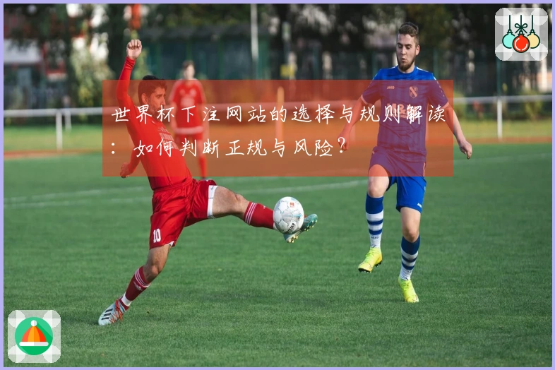 世界杯下注网站的选择与规则解读：如何判断正规与风险？