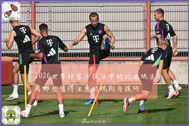 2026世界杯官方投注中的比分玩法有哪些值得注意的规则与技巧
