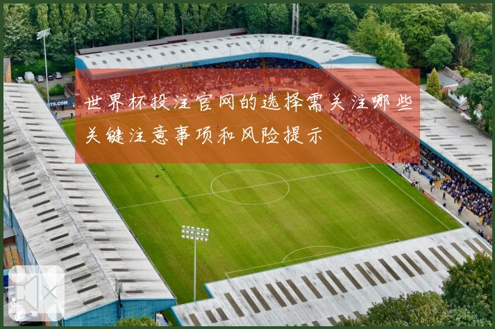世界杯投注官网的选择需关注哪些关键注意事项和风险提示