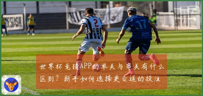 世界杯竞猜APP的单关与串关有什么区别？新手如何选择更合适的投注方式？