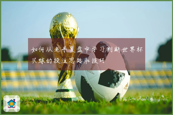 如何从老手复盘中学习判断世界杯买球的投注思路和技巧