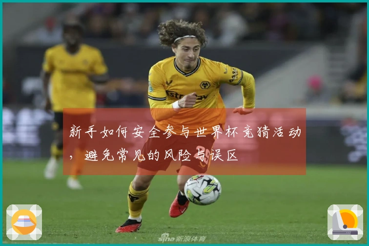 新手如何安全参与世界杯竞猜活动，避免常见的风险与误区