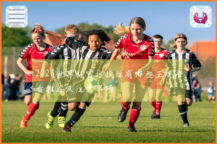 2026世界杯官方投注有哪些正规平台推荐及注意事项
