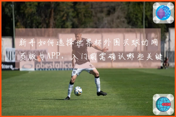 新手如何选择世界杯外围买球的网页版与APP，入门前需确认哪些关键要点