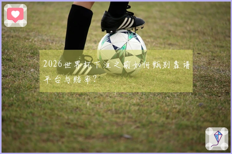2026世界杯下注之前如何甄别靠谱平台与赔率？