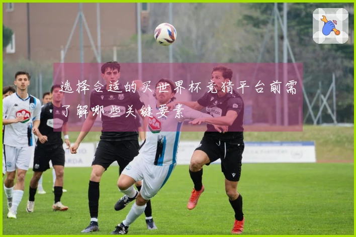 选择合适的买世界杯竞猜平台前需了解哪些关键要素