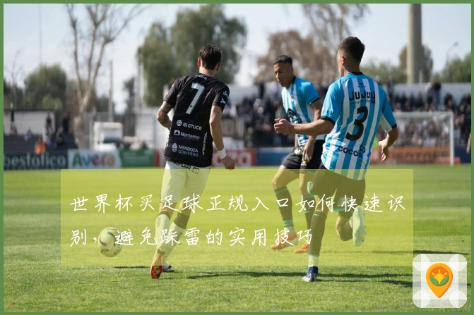 世界杯买足球正规入口如何快速识别，避免踩雷的实用技巧