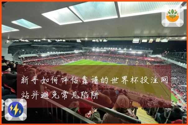 新手如何评估靠谱的世界杯投注网站并避免常见陷阱