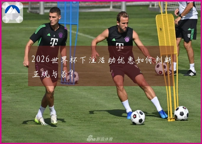 2026世界杯下注活动优惠如何判断正规与否？