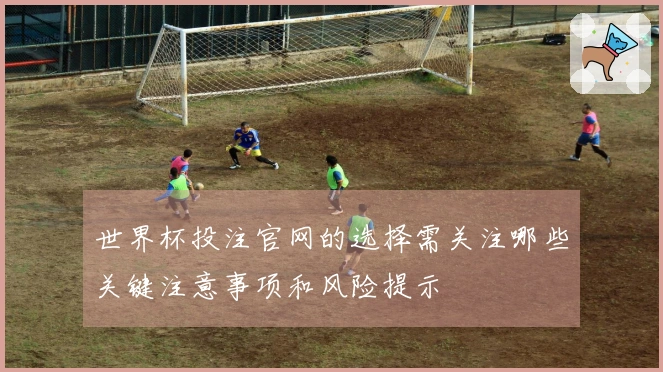世界杯投注官网的选择需关注哪些关键注意事项和风险提示