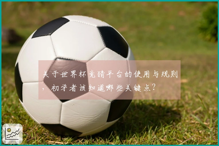 关于世界杯竞猜平台的使用与规则，初学者该知道哪些关键点？