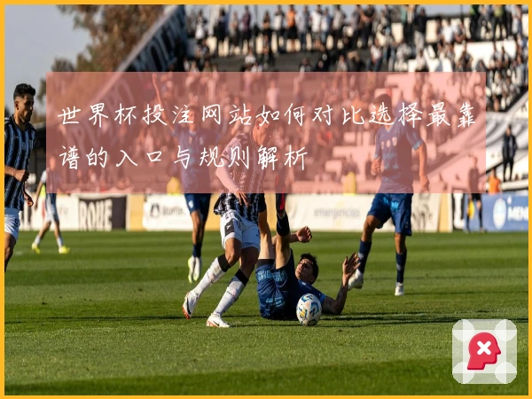 世界杯投注网站如何对比选择最靠谱的入口与规则解析